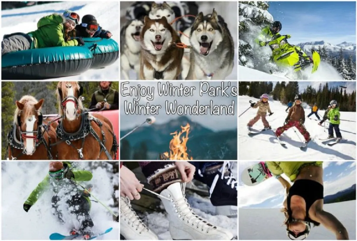 A vibrant winter scene featuring a variety of snow activities, including people tubing down a hill, huskies for dog sledding, snowmobiles, horses for sleigh rides, skiers, a cozy campfire, and children playing in the snow. The overall mood is energetic, family-friendly, and adventurous, with the landscape blanketed in snow.